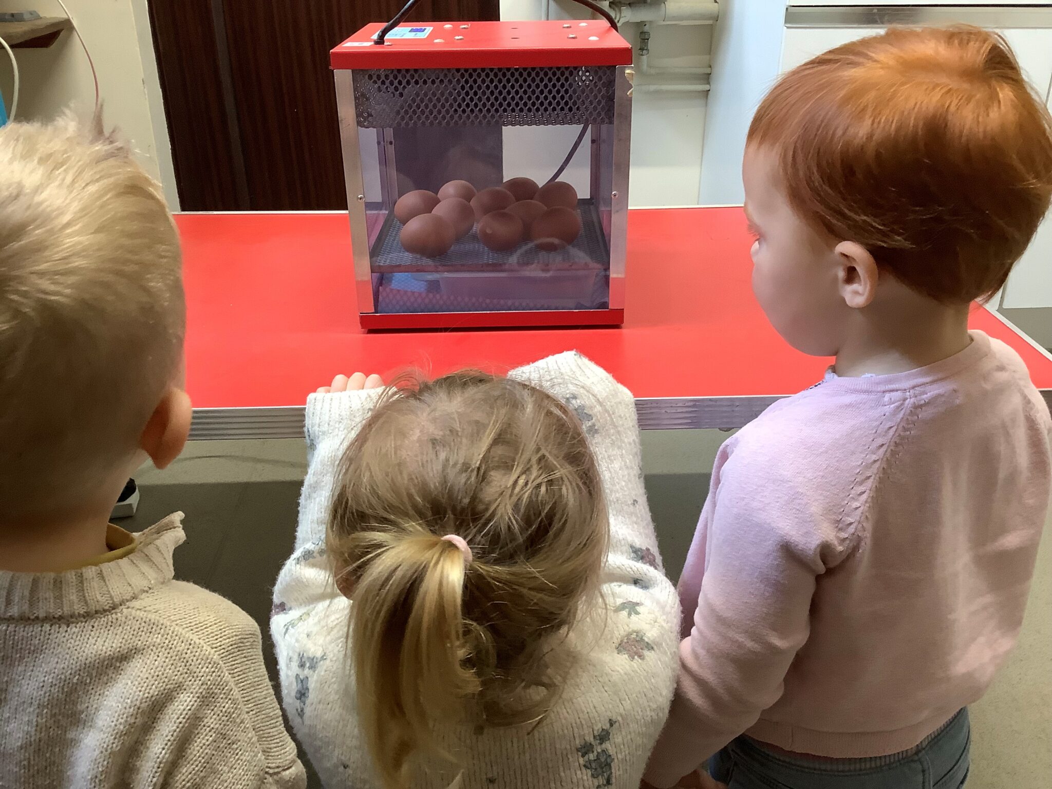 Gallery – Activities, Visits and Learning – Brize Norton Village Preschool